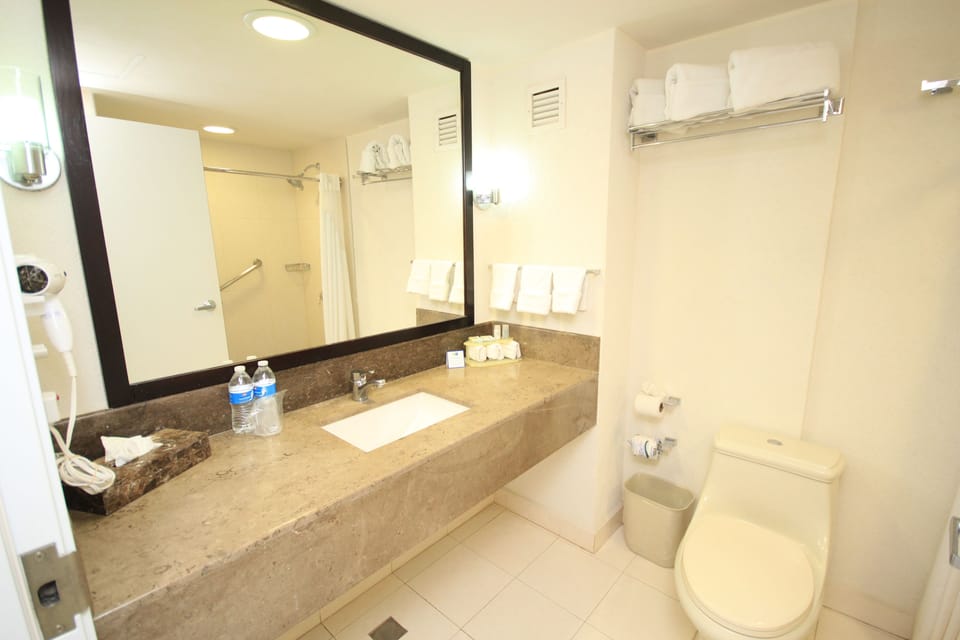 Standard Room, 1 King Bed | Bathroom | Shower, rainfall showerhead, free toiletries, hair dryer
