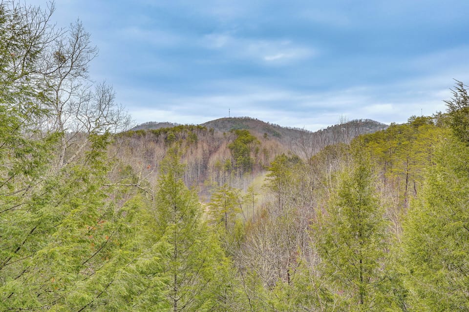 Mountain Views