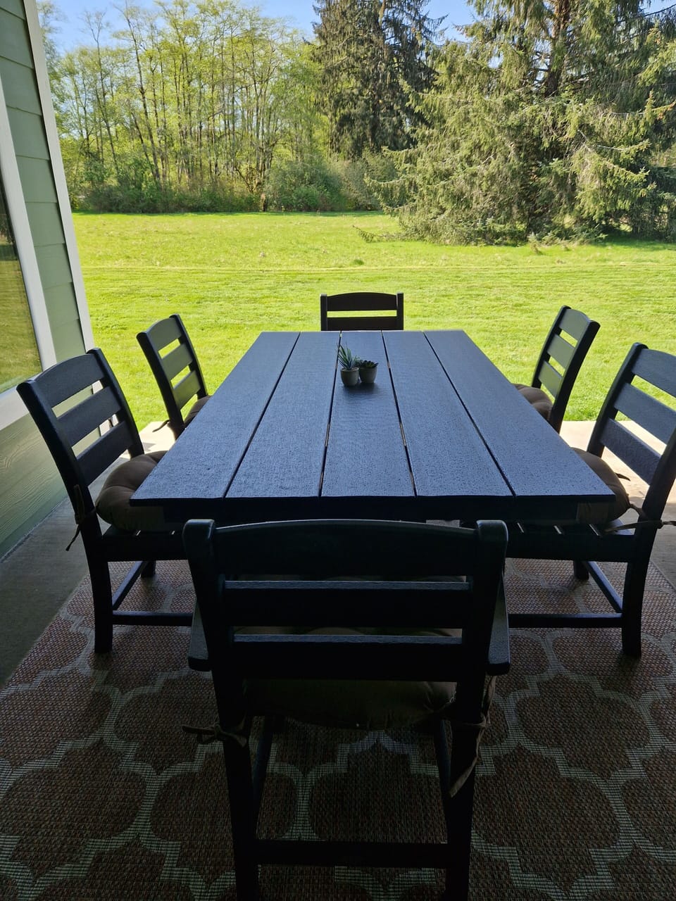 Seating for six on the covered backporch...