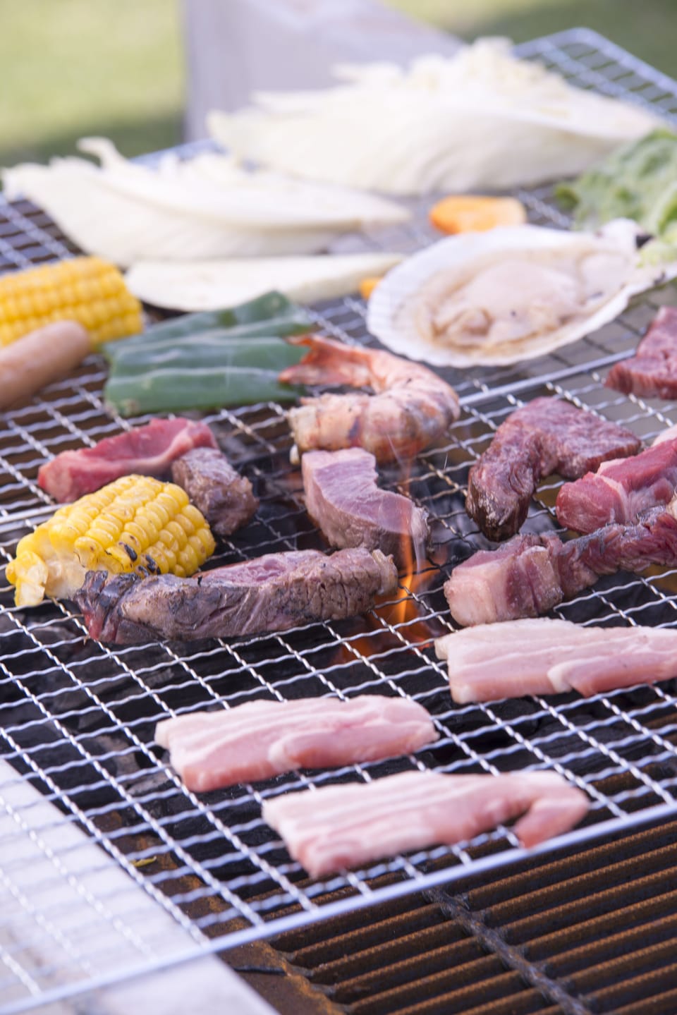 BBQ/picnic area