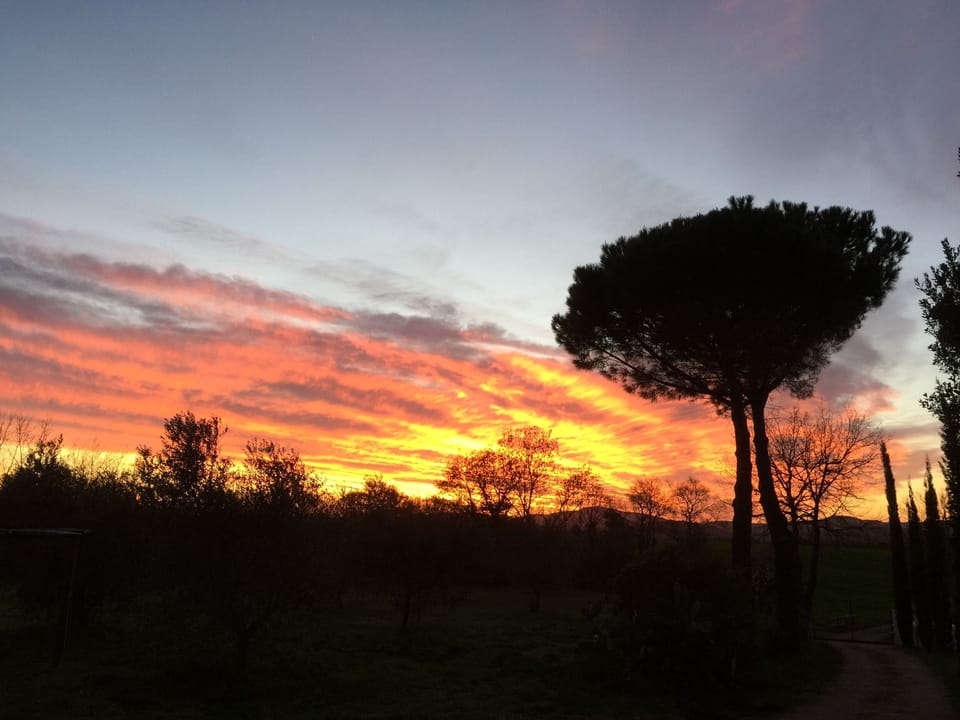 Deluxe Apartment, 2 Bedrooms (Melograno) | View from room