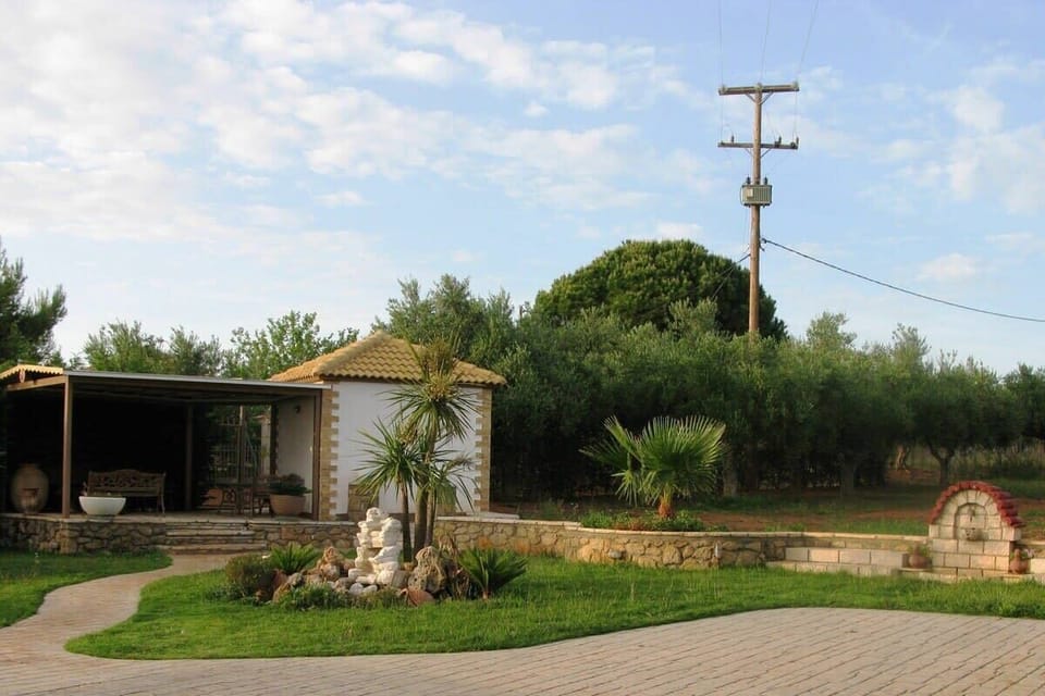 Spacious Garden of the House with Lawn and Trees