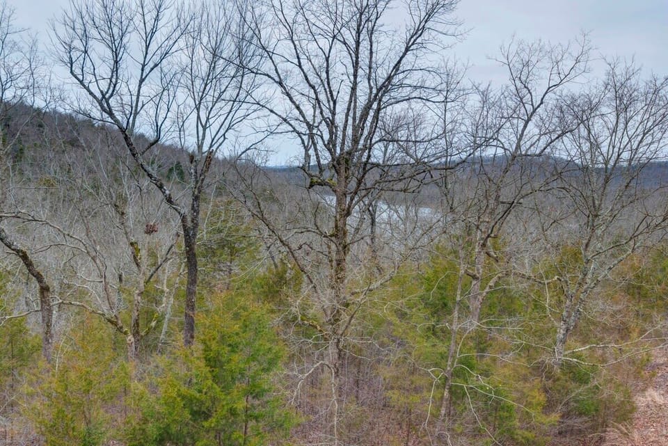 Winter Lake View