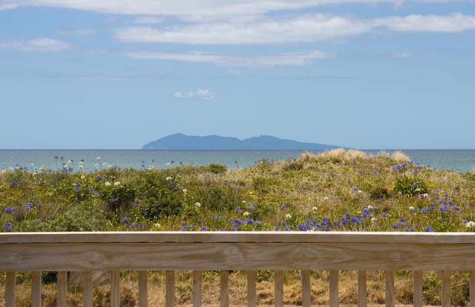 View of Mayor Island 