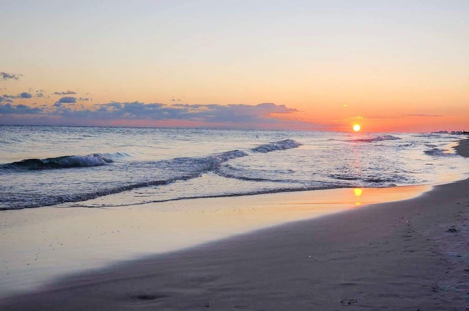 The Beach
