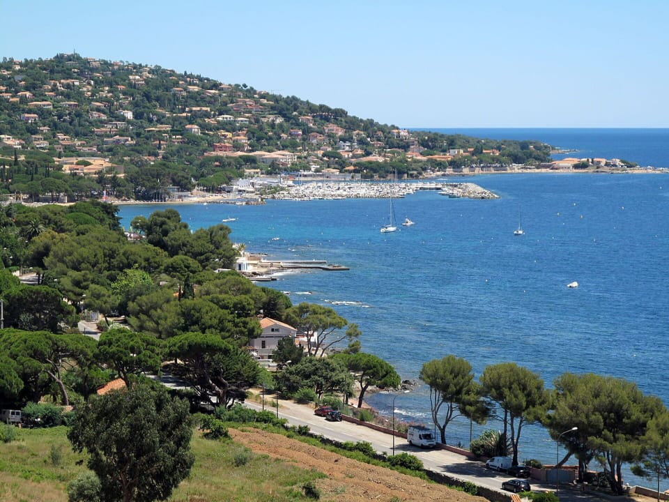 Water, Sky, Water Resources, Plant, Boat, Tree, Nature, Azure, Vegetation, Coastal And Oceanic Landforms