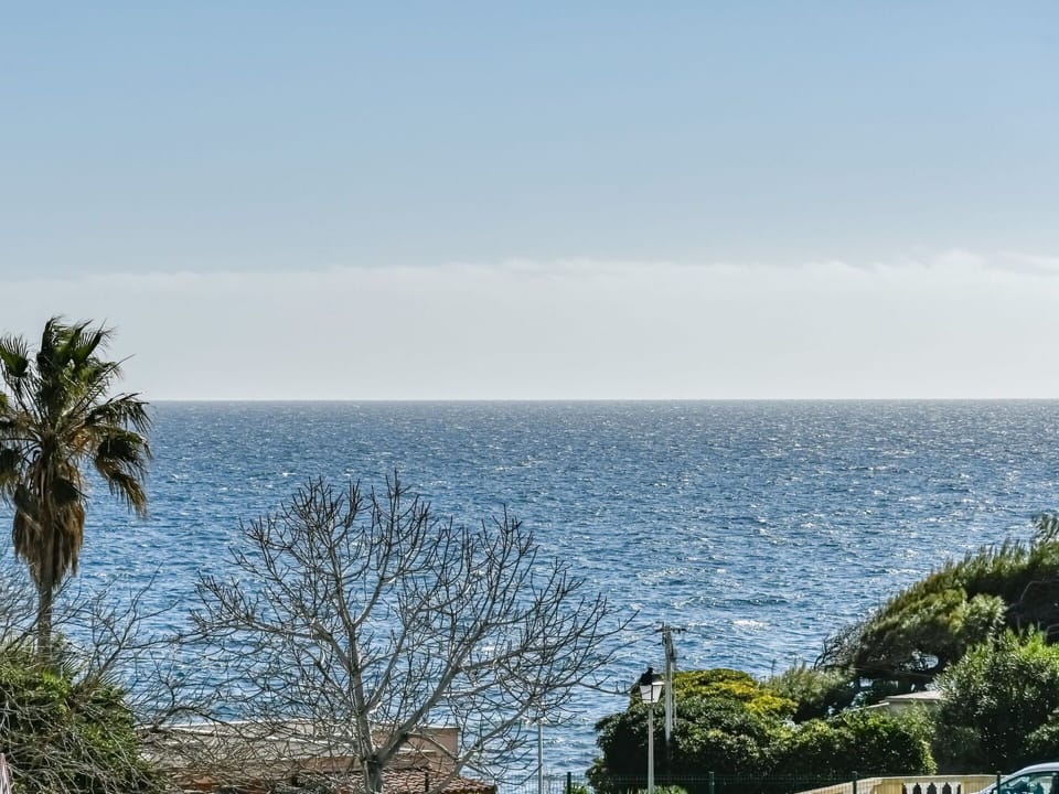 Sky, Cloud, Water, Plant Community, Azure, Tree, Natural Landscape, Coastal And Oceanic Landforms, Terrain, Woody Plant