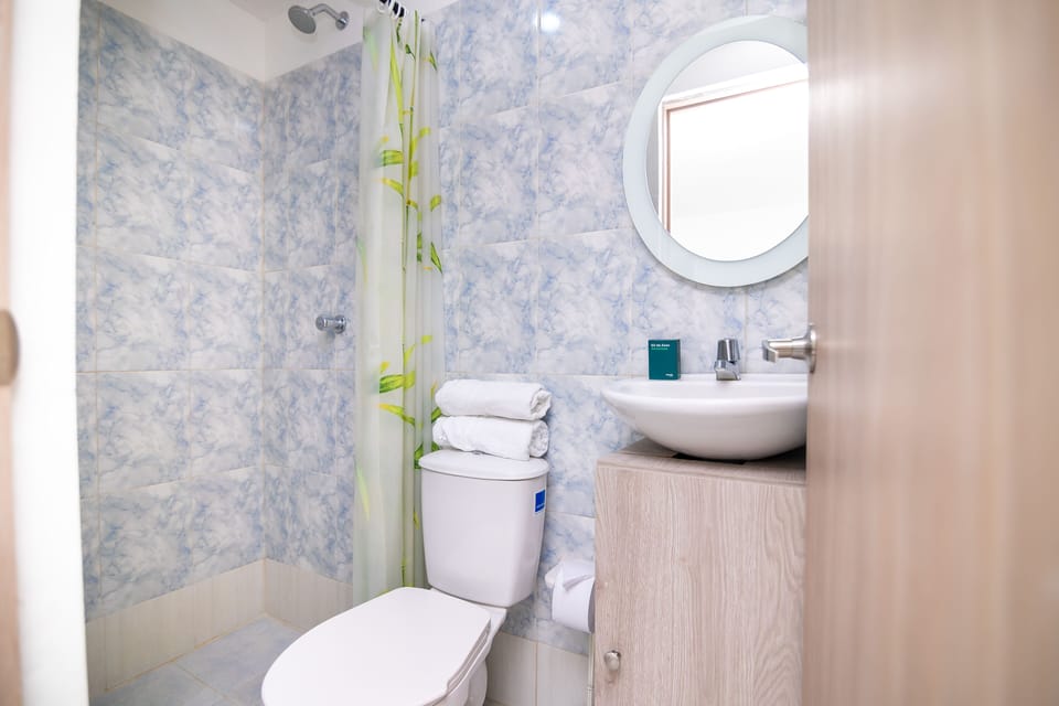 Double Room | Bathroom | Shower, hair dryer, towels, soap