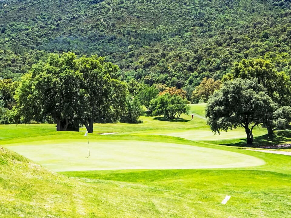 Highland, Grassland, Hill, Plain, Land Lot, Golf Course, Hill Station, Lawn, Pasture