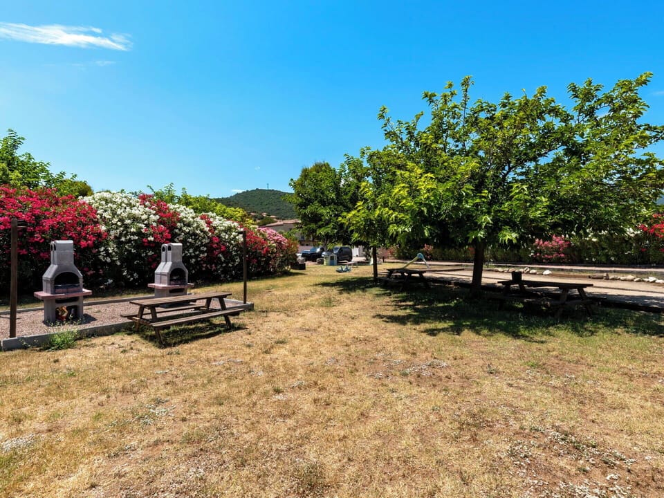 Sky, Tree, Landscape, Shrub, Garden, Spring, Shade, Landscaping, Park