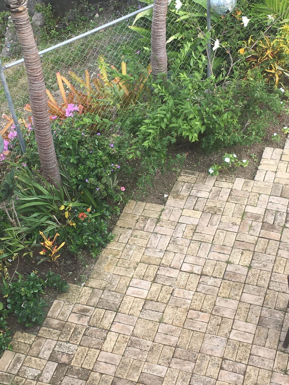 Outdoor space 