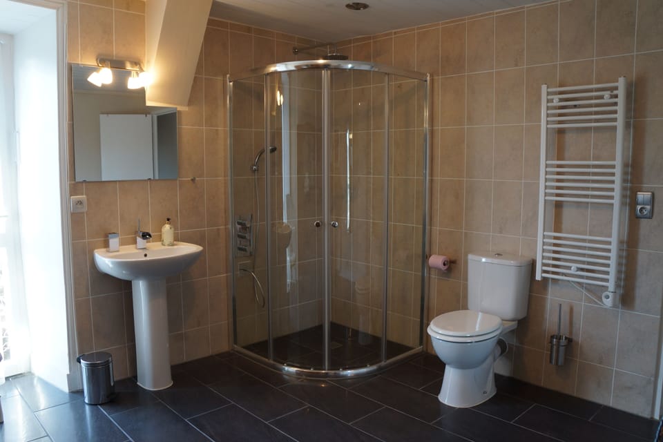 Junior Room (Ecrivain) | Bathroom shower