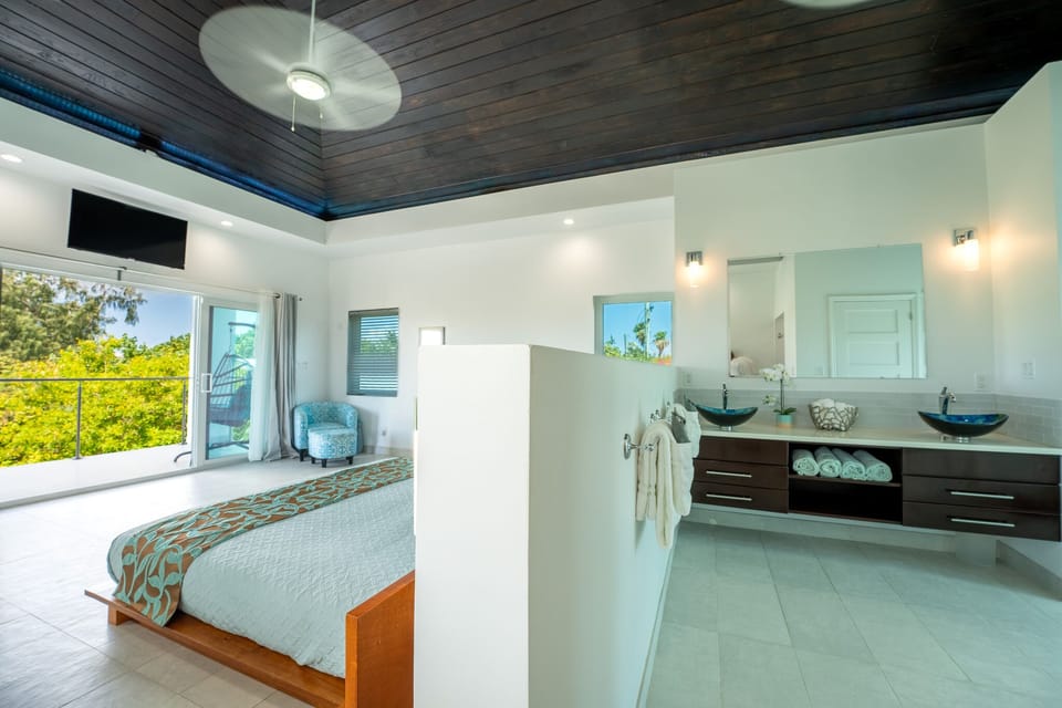 The whole upper floor master suite with walk-in shower