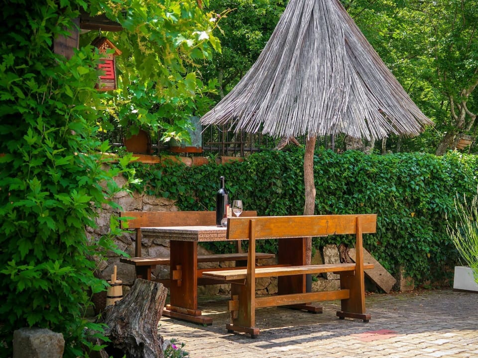 Furniture, Botany, Tree, Table, Garden, Grass, Plant, Bench, Wood, Botanical Garden