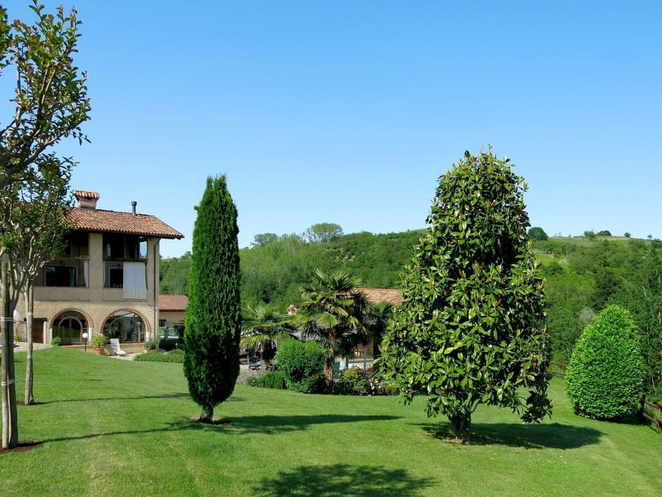 Tree, Property, House, Estate, Garden, Grass, Home, Lawn, Botany, Real Estate