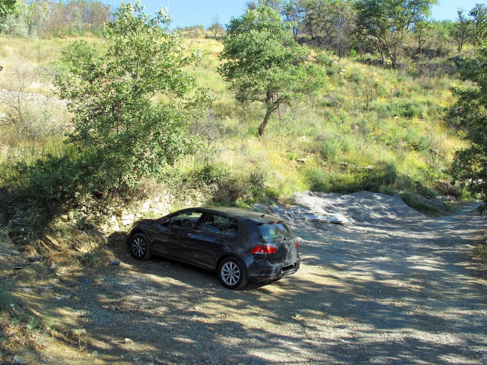 Plant, Wheel, Vehicle, Car, Plant Community, Automotive Tire, Sky, Vegetation, Motor Vehicle