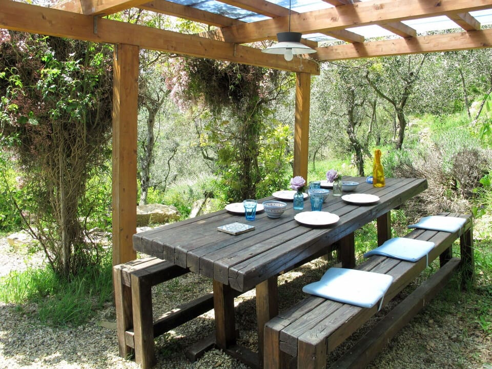 Plant, Table, Furniture, Plant Community, Outdoor Table, Shade, Outdoor Furniture, Wood, Tree, Leisure