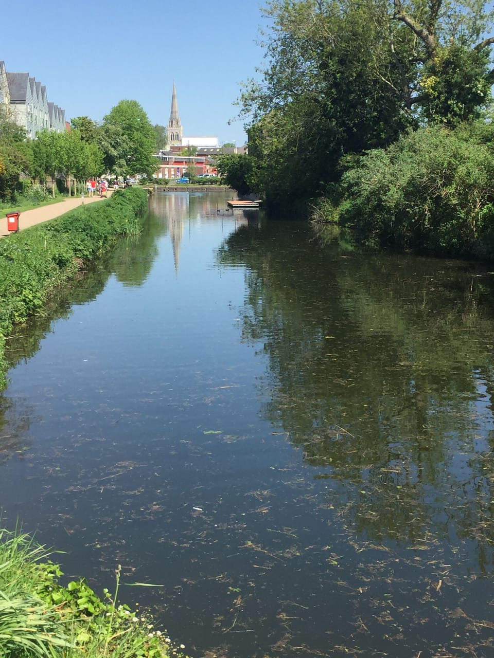 Chichester Canal (you can walk to the canal directly from the Annexe)