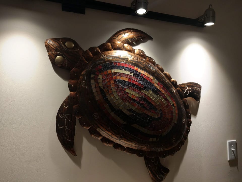 Turtle art