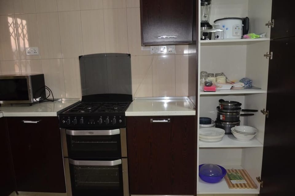 Deluxe Apartment | Private kitchen | Fridge, microwave, oven, stovetop