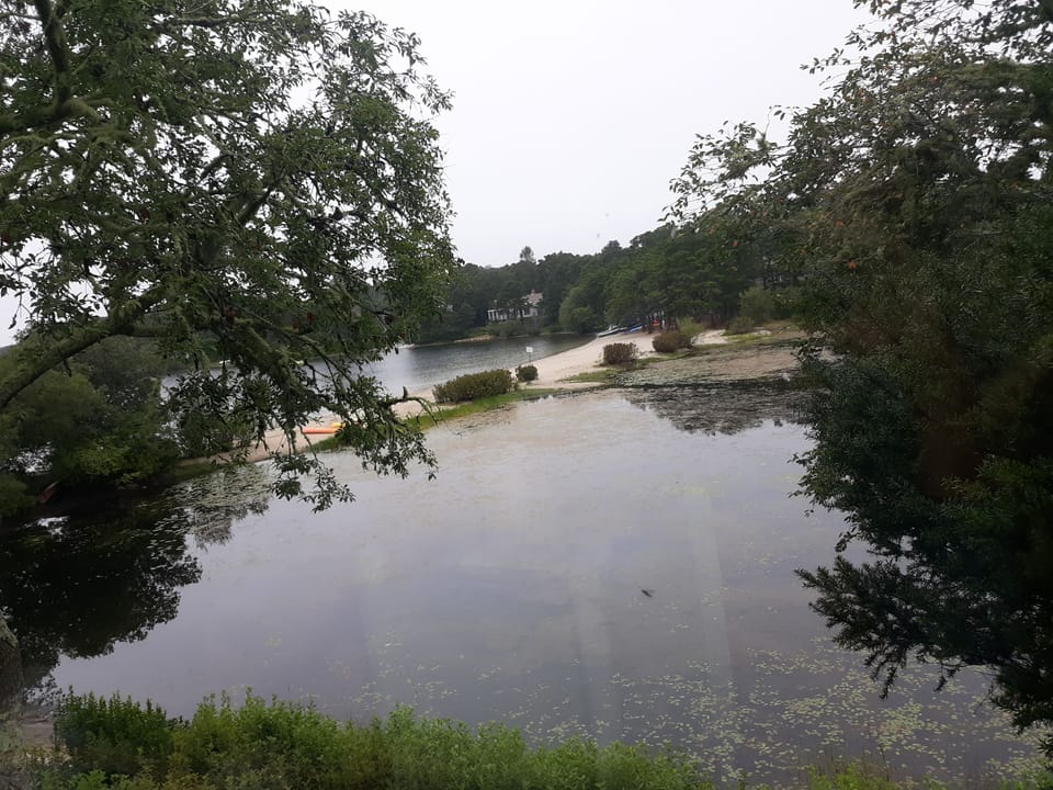 calm safe clean fresh water to swim kayak sail or hook a trophy bass . PERFECT.