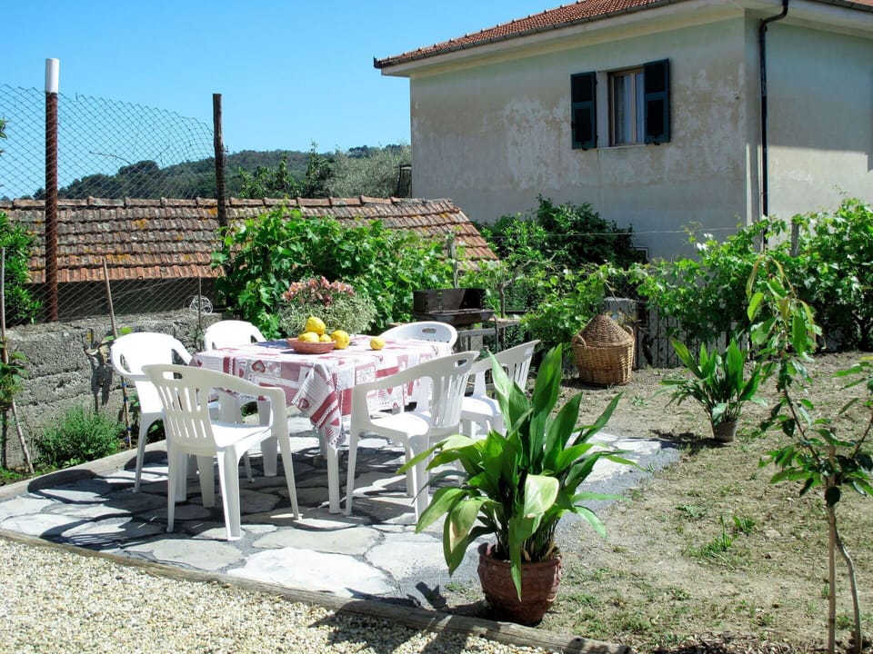 Property, Yard, Backyard, Garden, House, Landscape, Residential Area, Plant, Building, Real Estate