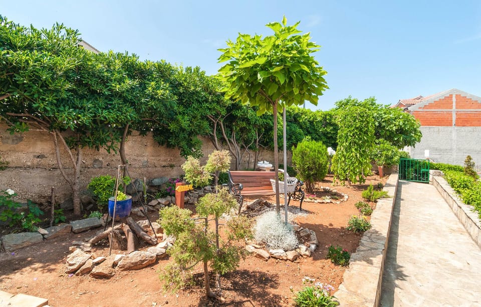 garden
