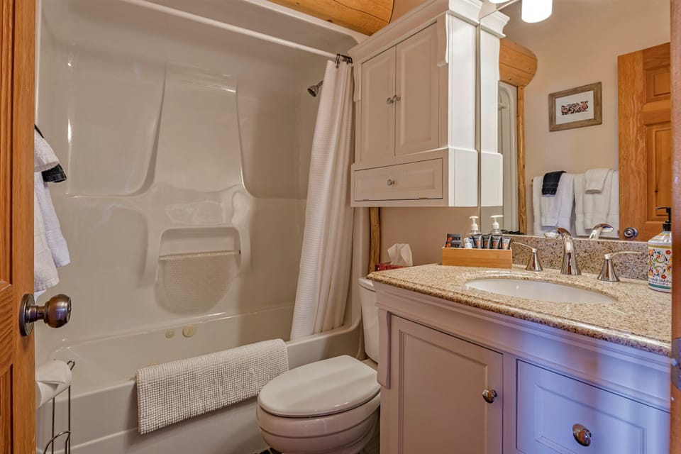 Combined shower/tub, free toiletries, hair dryer