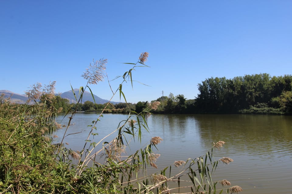 Lake