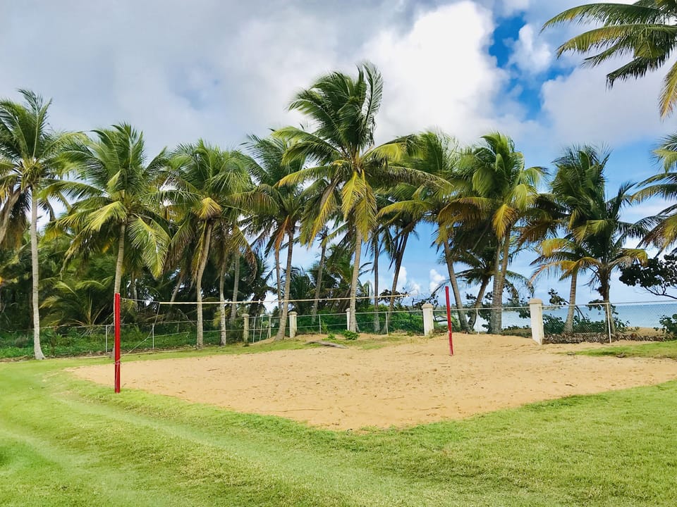 Sport court