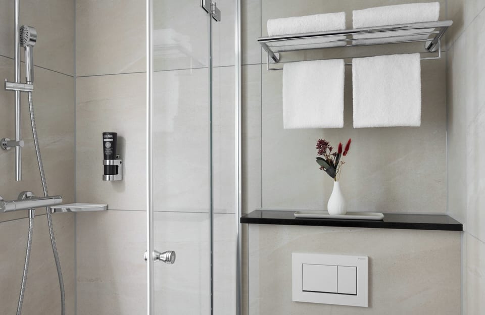 Shower, hair dryer, towels
