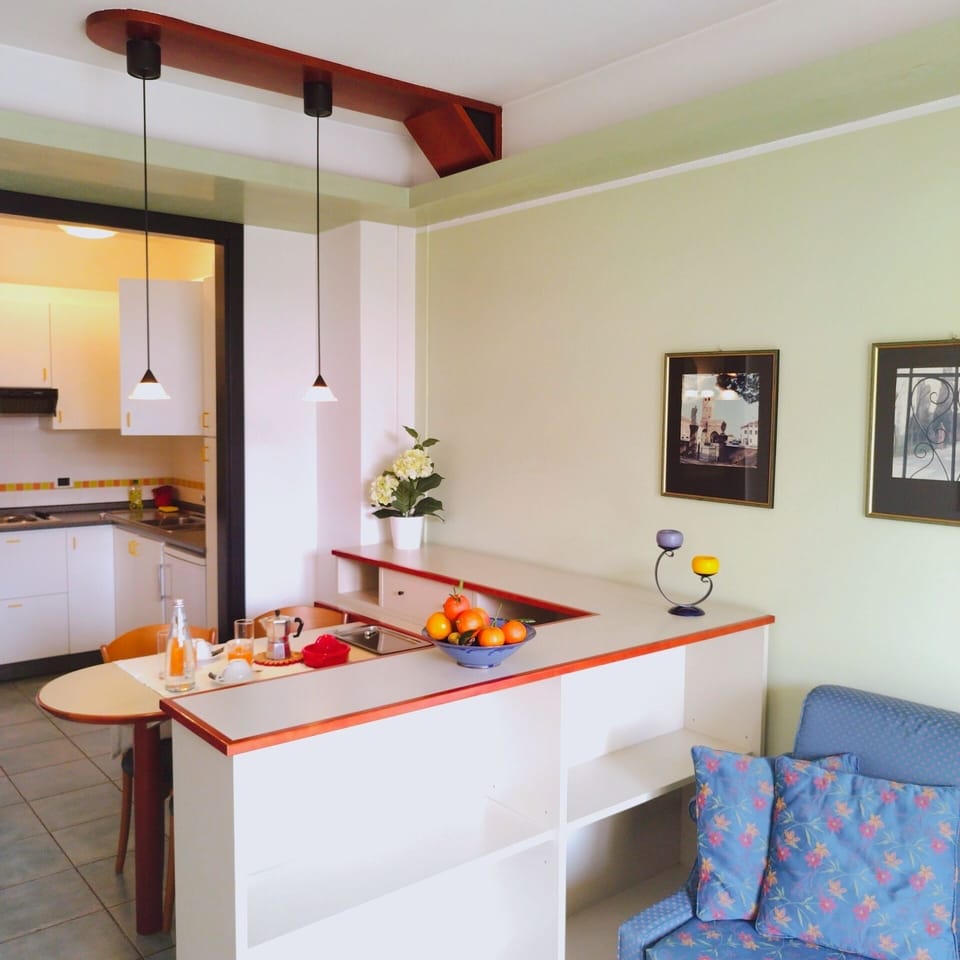 Fridge, cookware/dishes/utensils