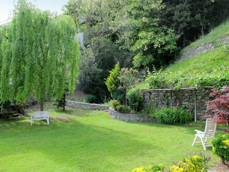 Garden, Nature, Tree, Natural Landscape, Green, Vegetation, Shrub, Grass, Botanical Garden, Yard