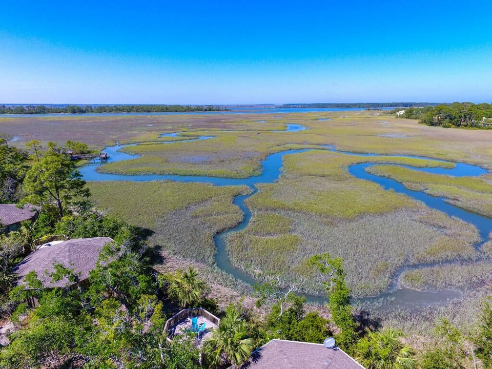 Aerial Marsh View