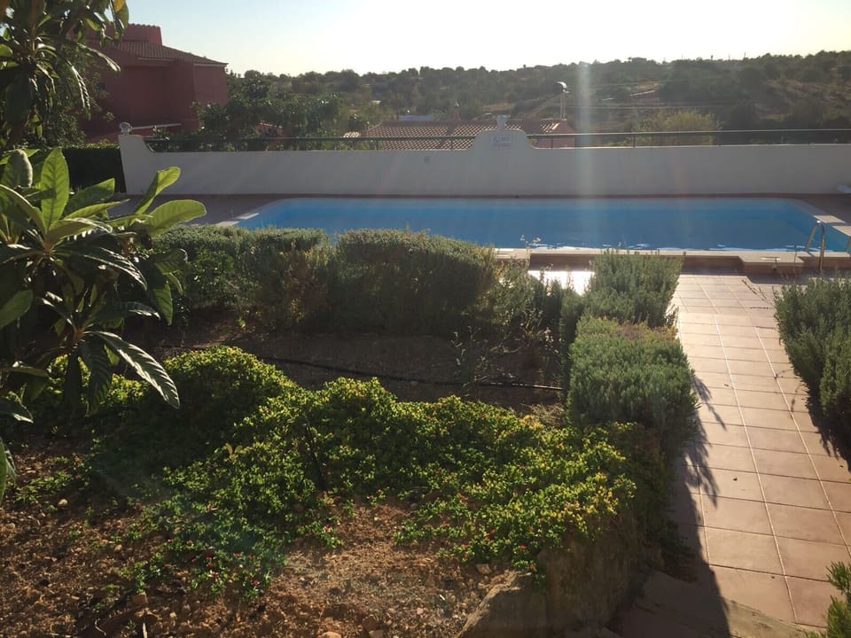 Vista da casa para a piscina / View from the house to the pool