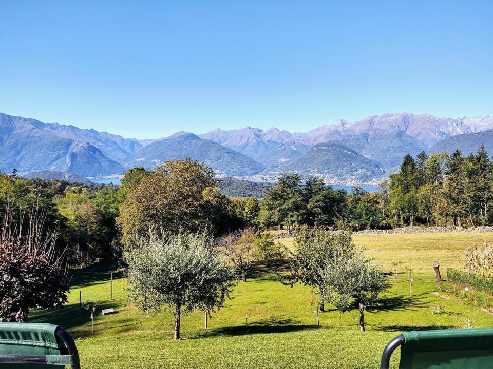 Sky, Plant, Mountain, Plant Community, Green, Nature, Tree, Natural Landscape, Land Lot, Highland