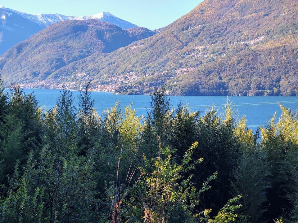 Water, Sky, Water Resources, Plant, Mountain, Natural Landscape, Larch, Tree, Lake, Vegetation