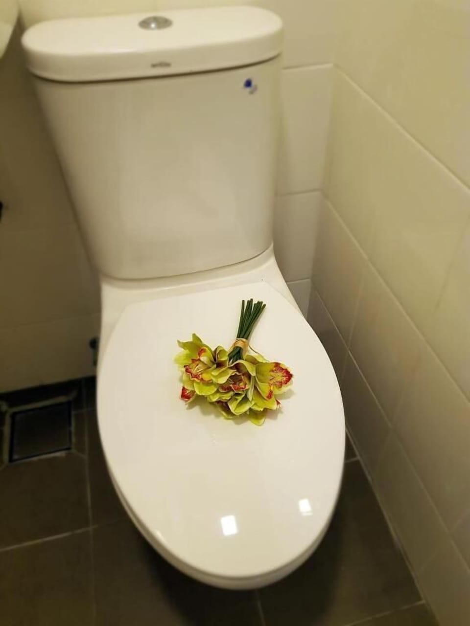 Shower, hair dryer, slippers, bidet