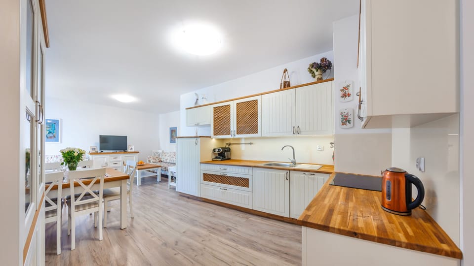 Apartment (308 B) | Private kitchenette | Full-size fridge, stovetop, electric kettle, cookware/dishes/utensils
