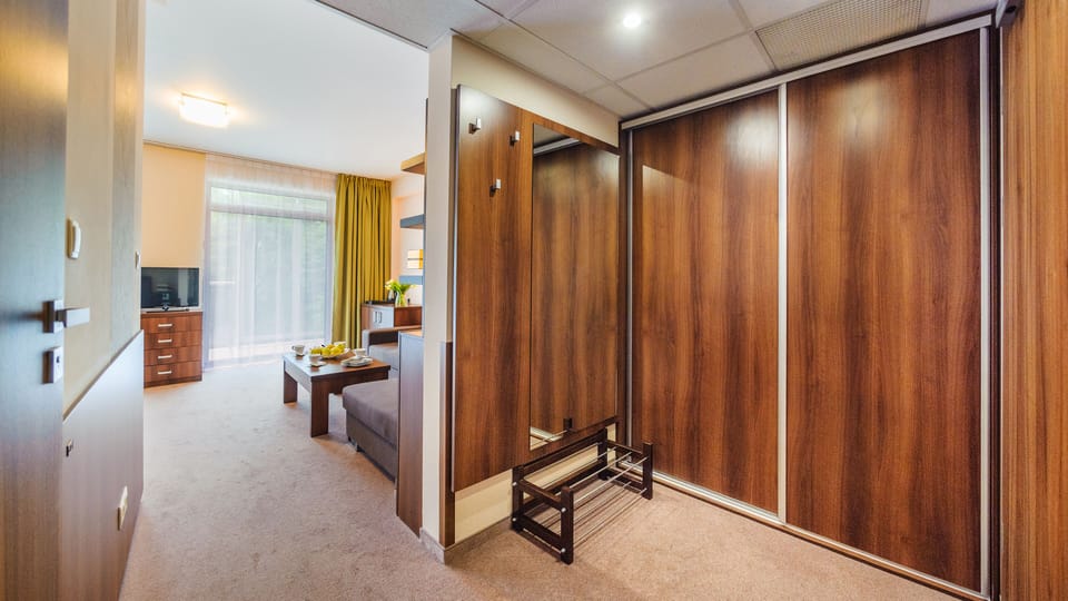 Room (311) | Living area | Flat-screen TV