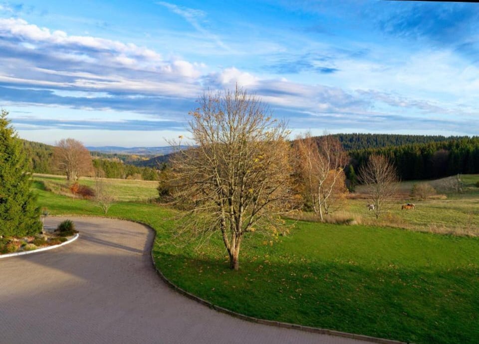 House | View from property
