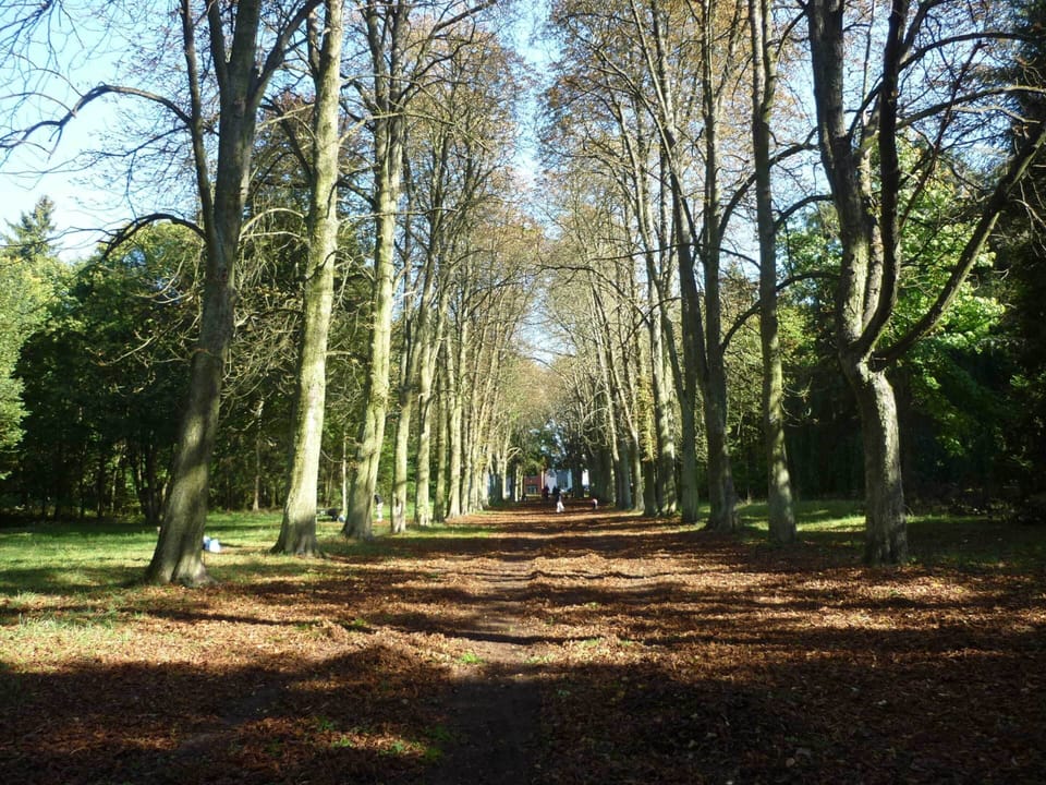 Apartment | View from property