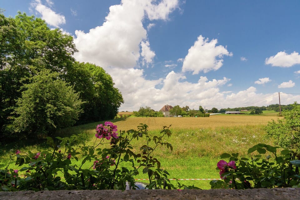 House | View from property
