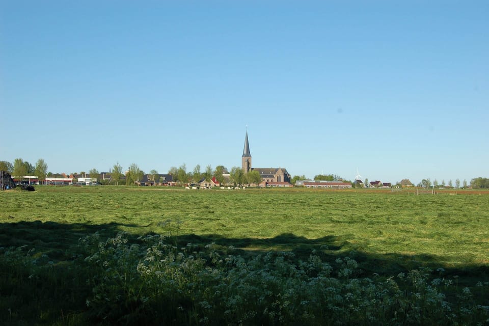 House | View from property
