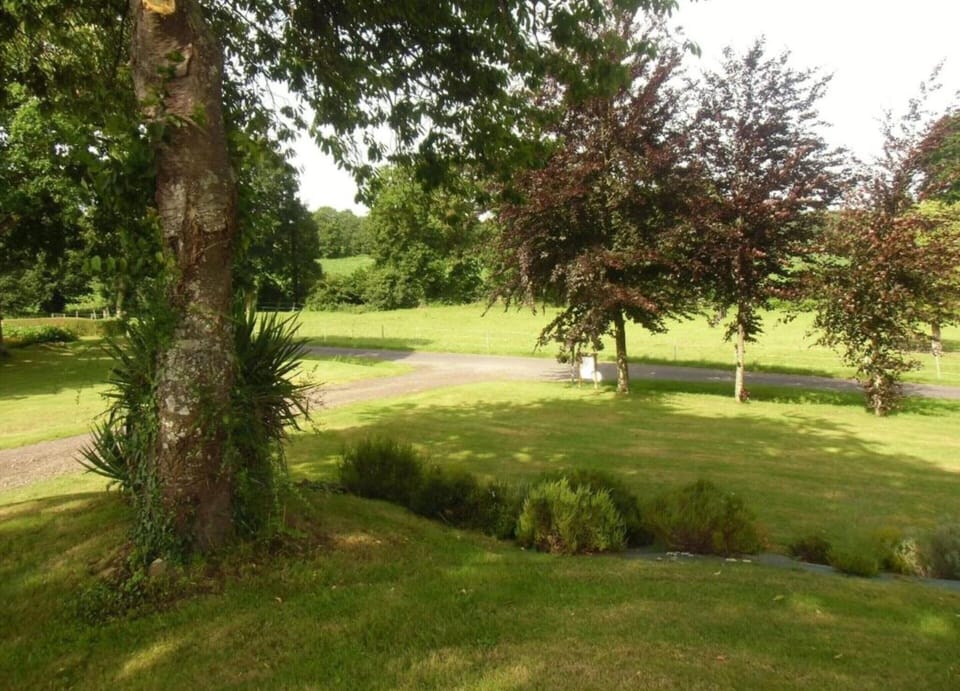 House | View from property