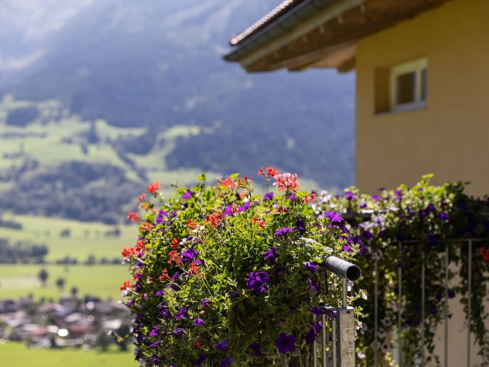 Apartment | Interior detail