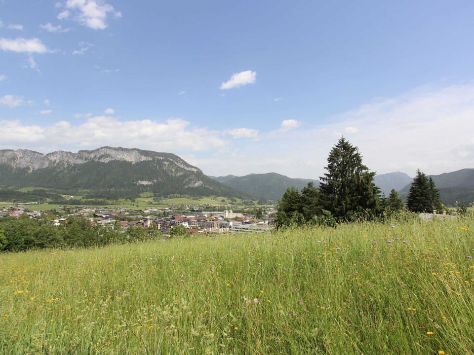 Chalet | View from property