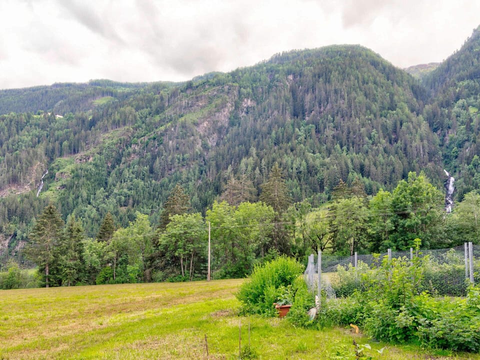 House | View from property