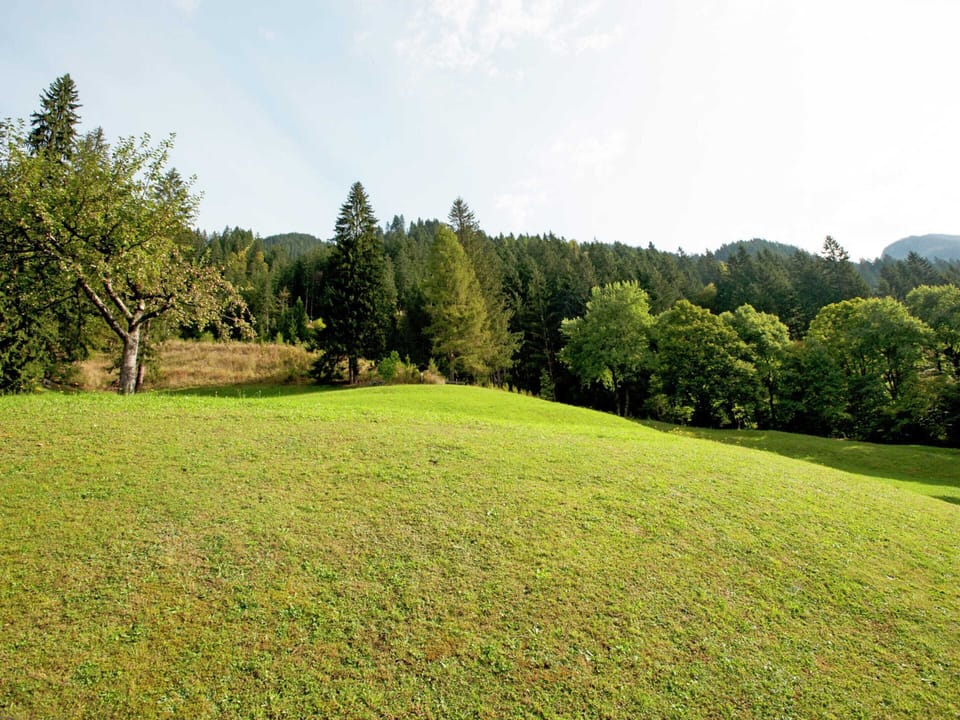 Apartment | View from property