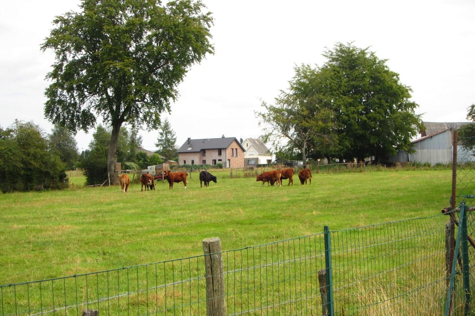 House | View from property